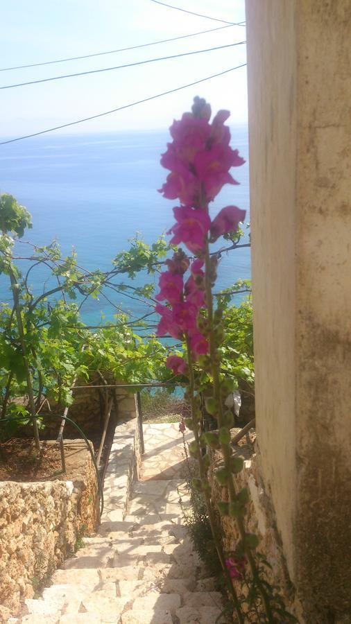 Blue View Hotel Qeparo Luaran gambar